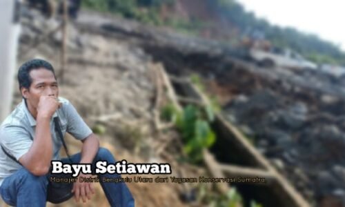 Tambang Batu Bara Gunung Selan, Menuai Sorotan Publik