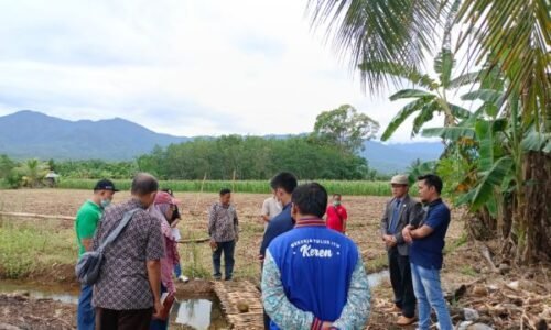 Nasabah Gugat BRI, PN Cek Lokasi Objek Perkara.