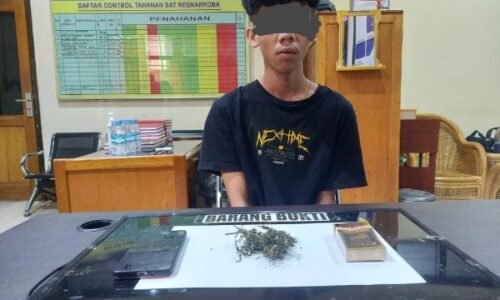 Simpan Ganja Dalam Kotak Rokok, Pemuda 19 Tahun Ditangkap Polisi