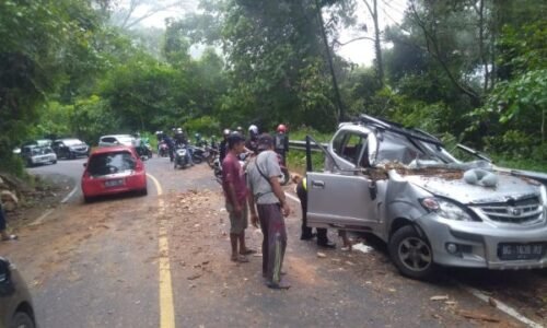 Mobil Tertimpa Pohon, 1 Orang meninggal Dunia