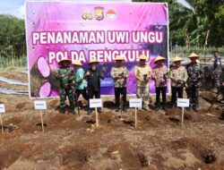 Gubernur Bengkulu, Kapolda, dan Bupati Bengkulu Utara Hadiri Panen Raya Jagung Sadesahe di Desa Tanah Hitam