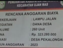 Pemasangan Lampu Jalan TA Tahun 2023 Desa Pekalongan, Diduga Menjadi Ladang Korupsi