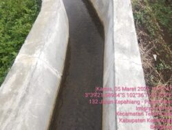 Pembangunan Saluran Irigasi Desa Imigrasi Permu TA 2025 Tuai Sorotan Publik