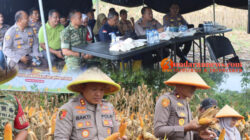 Polres Bengkulu Utara Gelar Zoom Meeting dan Panen Jagung Serentak Kuartal II Tahun 2026