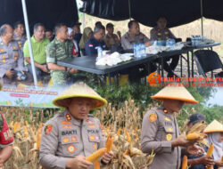 Polres Bengkulu Utara Gelar Zoom Meeting dan Panen Jagung Serentak Kuartal II Tahun 2026
