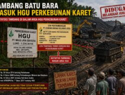Izin Tambang Batu Bara Tumpang Tindih HGU Perkebunan di Air Sebayur Bengkulu Utara, Ormas BIDIK Minta APH Lakukan Pemeriksaan