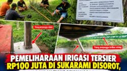 Pemeliharaan Irigasi Tersier Rp 100 Juta di Sukarami Disorot, Baru 3 Bulan Tiang Penyangga Roboh