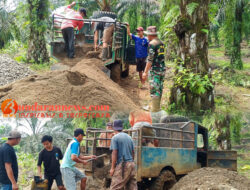 Pembangunan Jembatan Perintis Garuda Oleh Kodim 0423 Bengkulu Utara Terus Dikebut, TNI & Masyarakat Bergotong Royong
