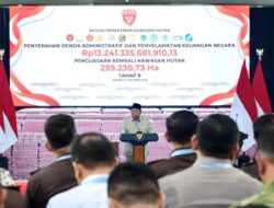 Presiden Siapkan 70 Ribu Polisi Hutan, Pengawasan Kawasan Hutan Diperketat
